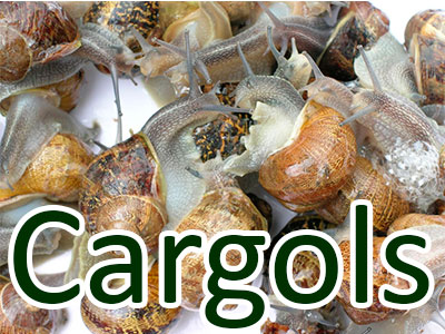 Cargols